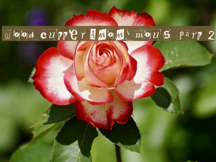 Woodcutter Anonymous part 2 Font examples
