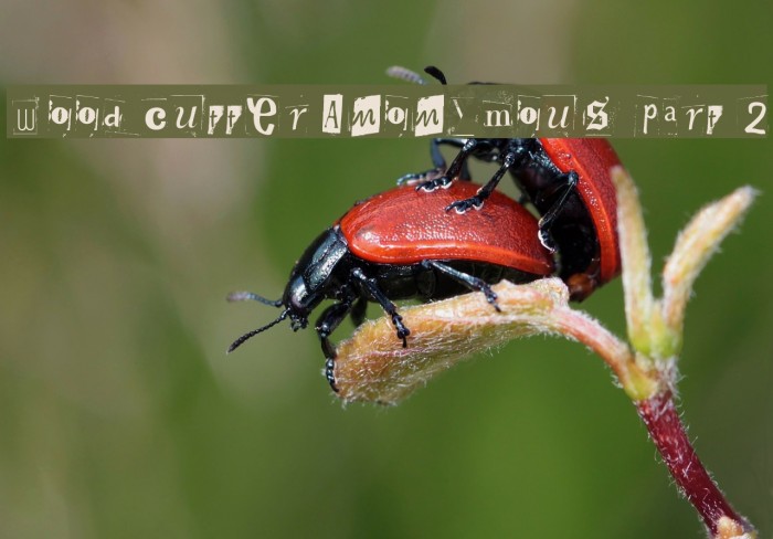 Woodcutter Anonymous part 2 Font examples