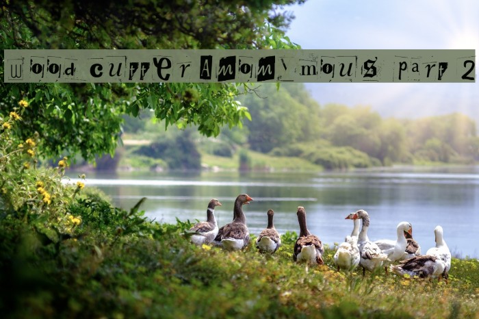 Woodcutter Anonymous part 2 Font examples