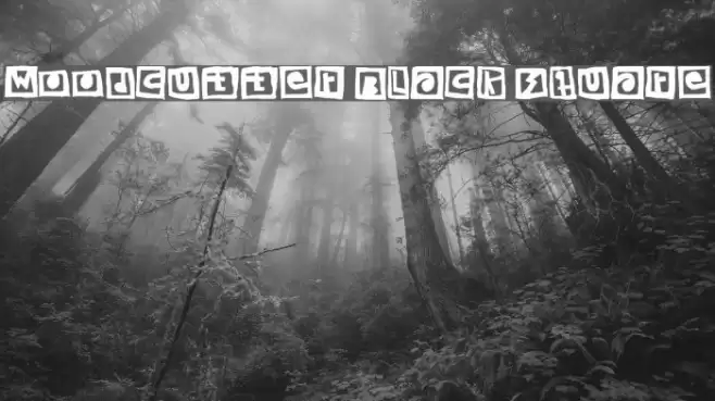 Woodcutter Black Square Font examples