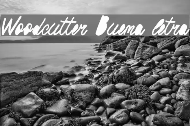 Woodcutter Buena letra Font examples