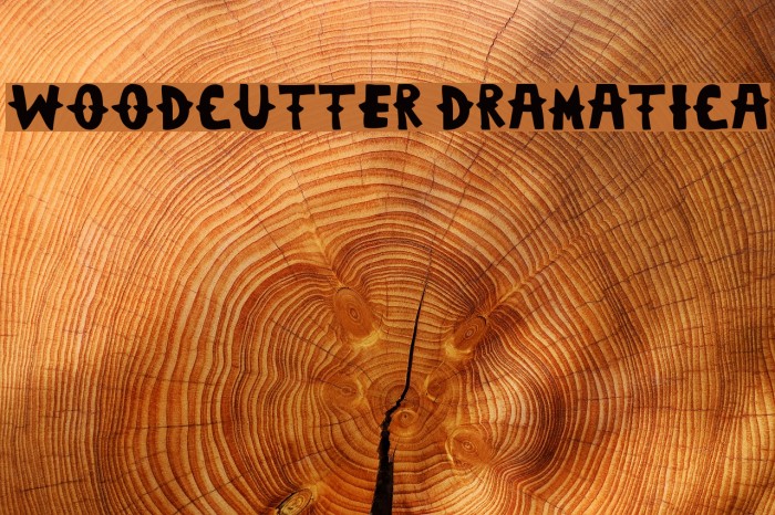 Woodcutter Dramatica Example 2