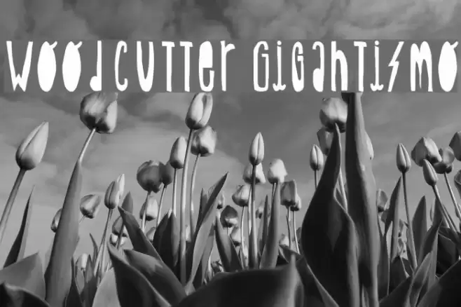 Woodcutter Gigantismo Font examples