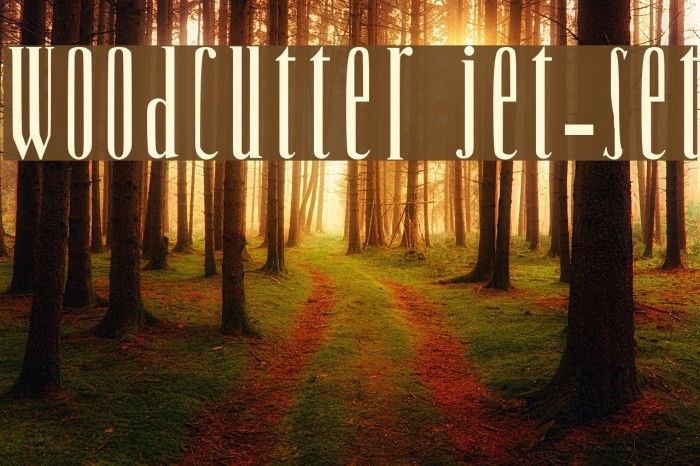 Woodcutter Jet-Set Font examples