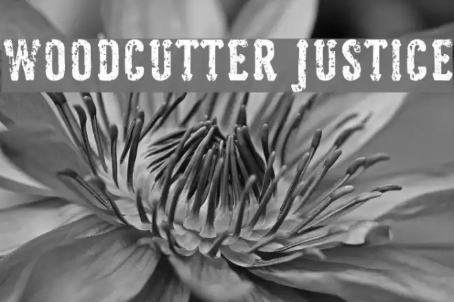 Woodcutter Justice Font examples