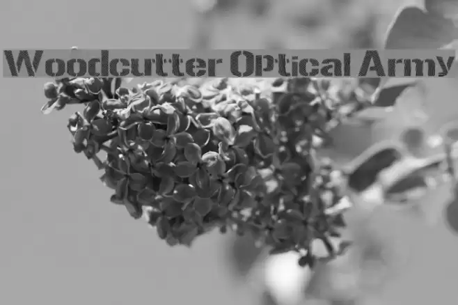 Woodcutter Optical Army Font examples