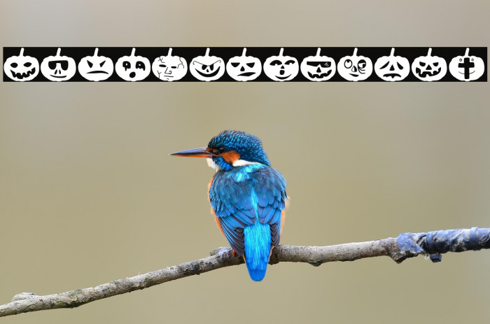 Woodcutter Pumpkins Example 1