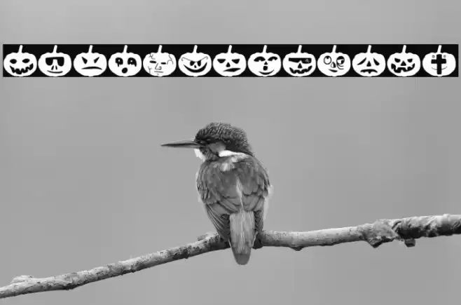 Woodcutter Pumpkins Font examples