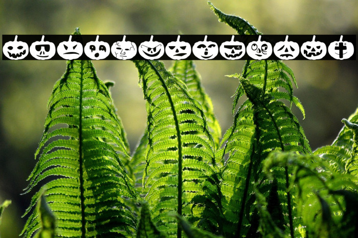 Woodcutter Pumpkins Example 2