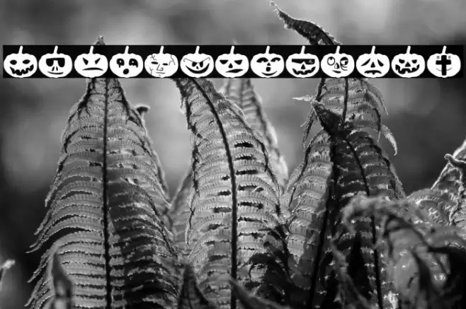 Woodcutter Pumpkins Font examples