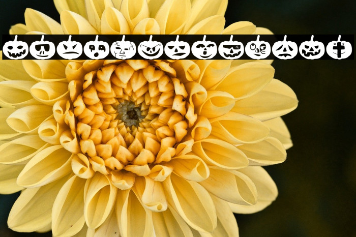 Woodcutter Pumpkins Example 3