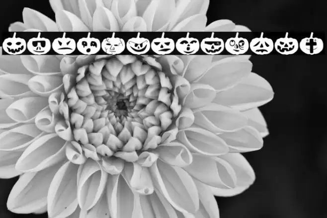 Woodcutter Pumpkins Font examples