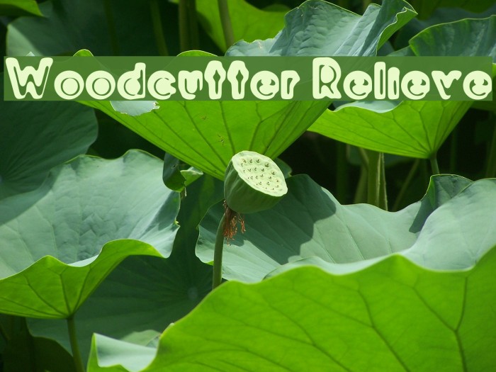 Woodcutter Relieve Font examples
