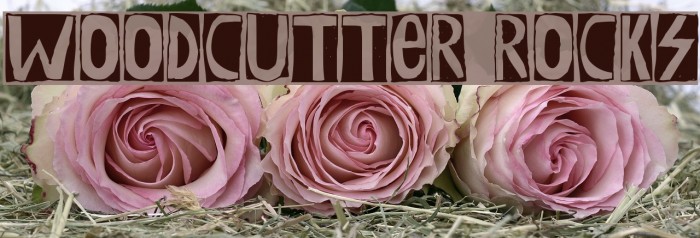 Woodcutter Rocks Font examples