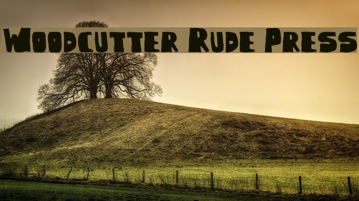 Woodcutter Rude Press Example 1