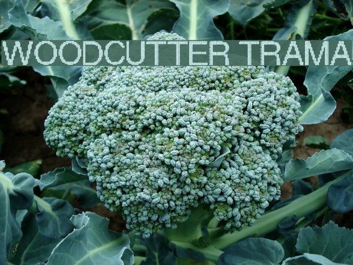 Woodcutter Trama Font examples
