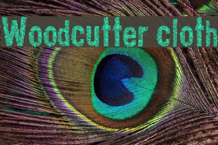 Woodcutter cloth Example 1