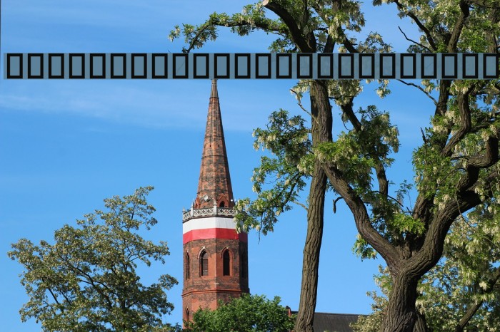 Woodcutter rare drawings Example 1