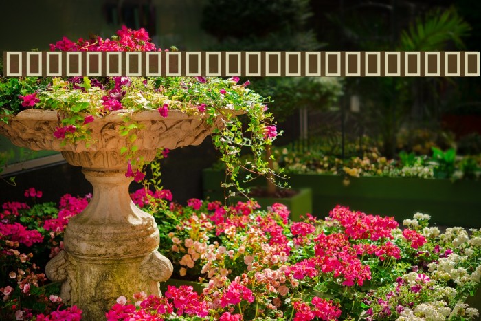 Woodcutter rare drawings Example 2