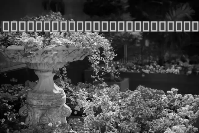 Woodcutter rare drawings Font examples