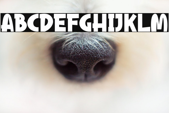 Wooden House Example 2