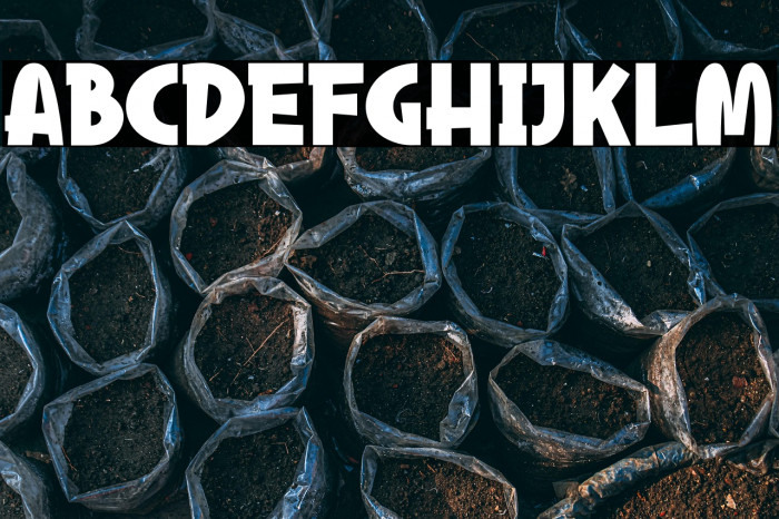 Wooden House Example 3