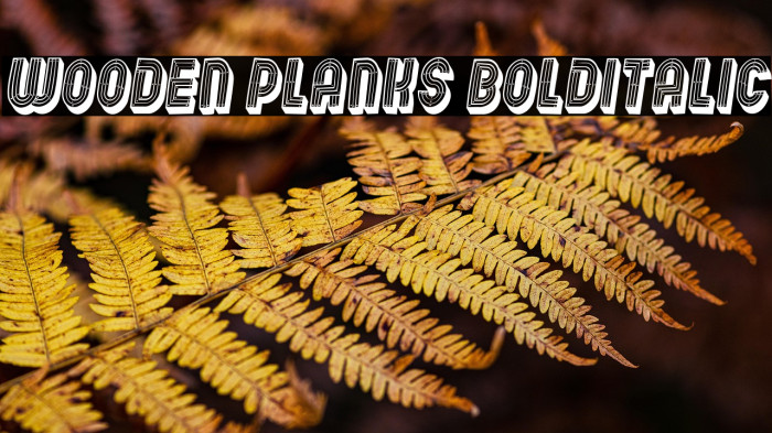 Wooden Planks BoldItalic Example 2