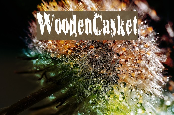 WoodenCasket Шрифта examples
