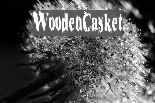 WoodenCasket Font examples