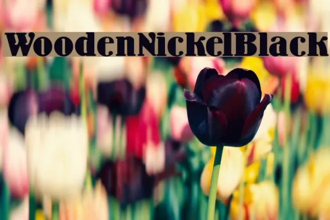WoodenNickelBlack Example 2