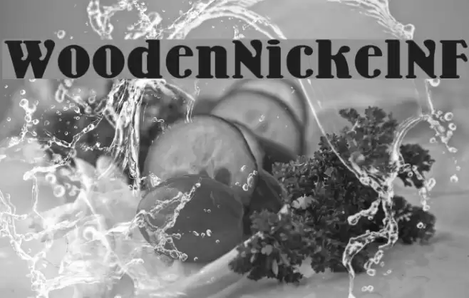 WoodenNickelNF Font examples
