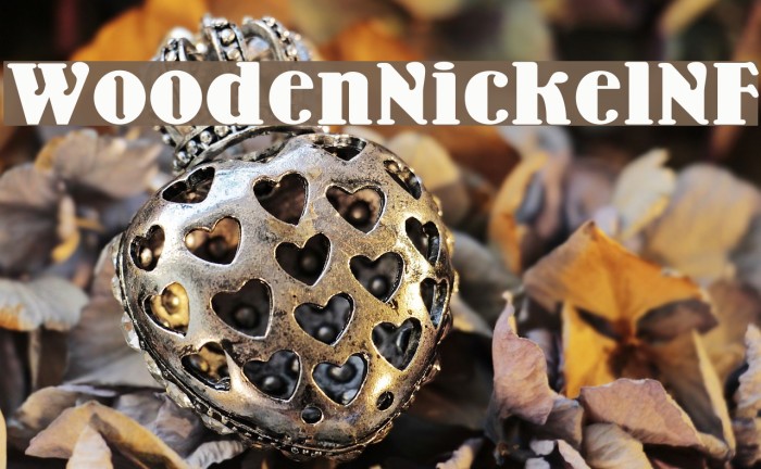 WoodenNickelNF Example 3