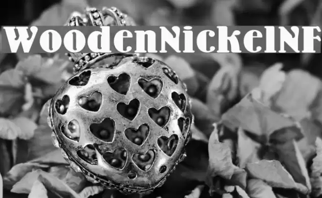 WoodenNickelNF Font examples