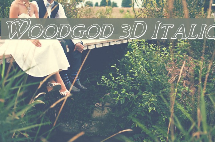 Woodgod 3D Italic Font examples