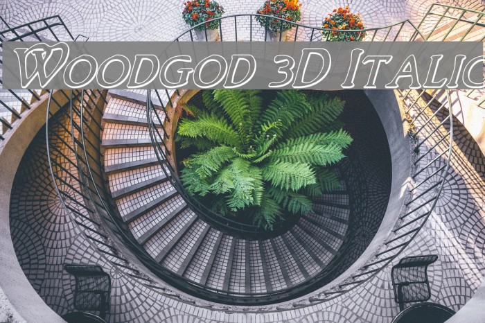 Woodgod 3D Italic Font examples