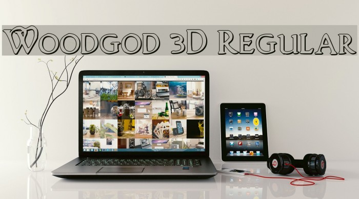 Woodgod 3D Regular Example 1