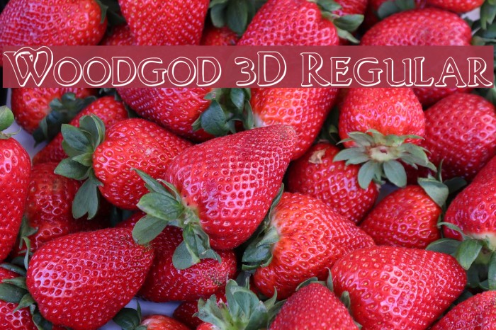 Woodgod 3D Regular Example 3