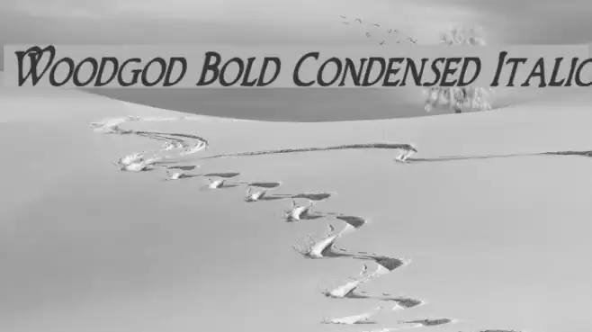 Woodgod Bold Condensed Italic Font examples