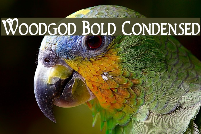 Woodgod Bold Condensed Font examples