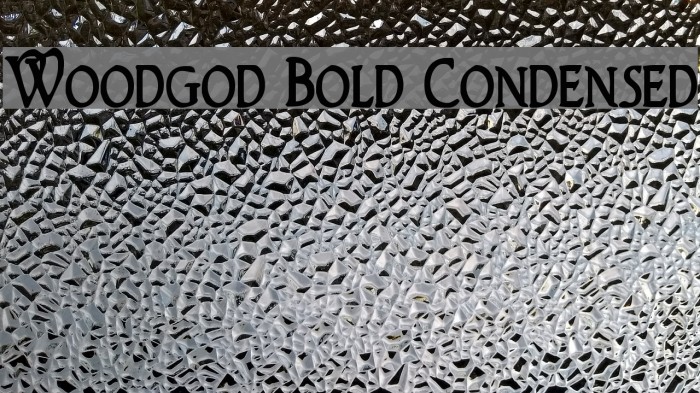 Woodgod Bold Condensed Font examples