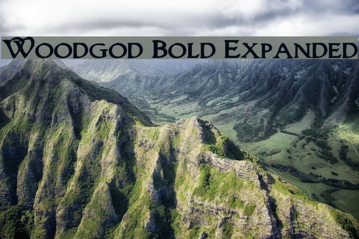 Woodgod Bold Expanded Font examples