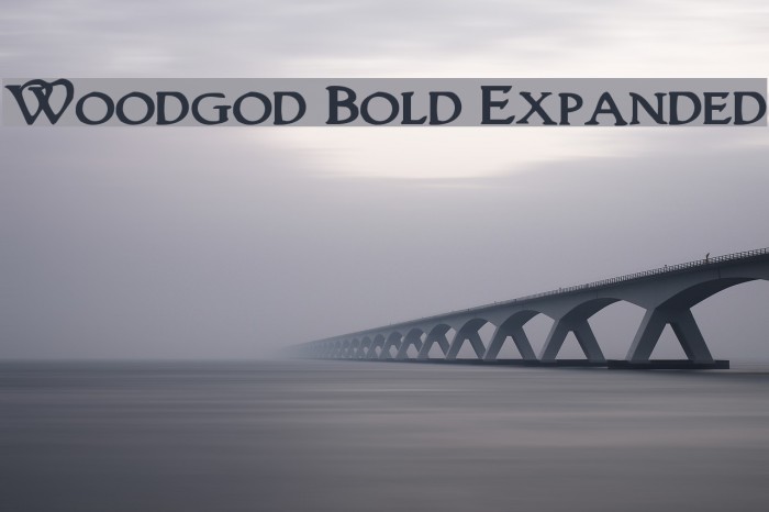 Woodgod Bold Expanded Font examples