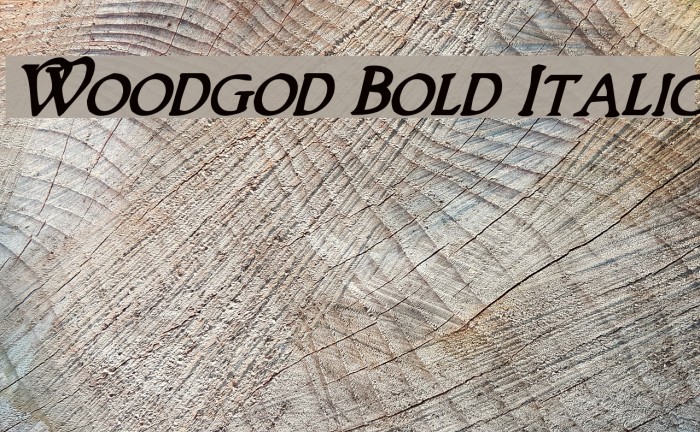 Woodgod Bold Italic Font examples