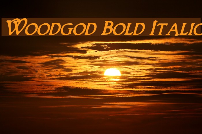 Woodgod Bold Italic Font examples