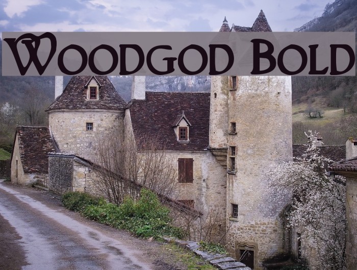 Woodgod Bold Example 1