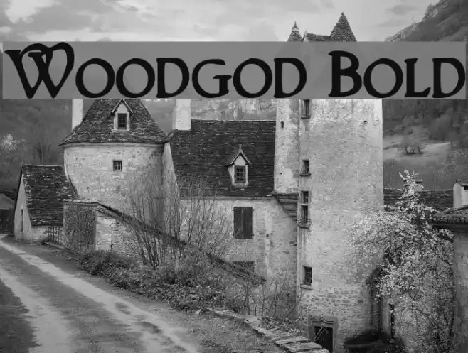 Woodgod Bold Font examples