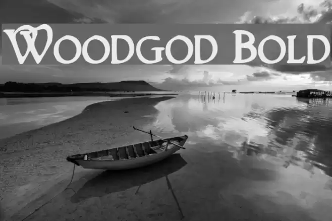Woodgod Bold Font examples