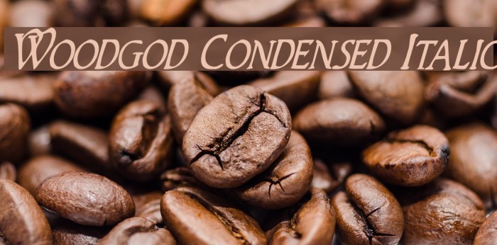 Woodgod Condensed Italic Example 1