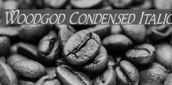 Woodgod Condensed Italic Font examples