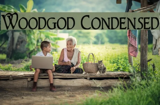 Woodgod Condensed Example 1